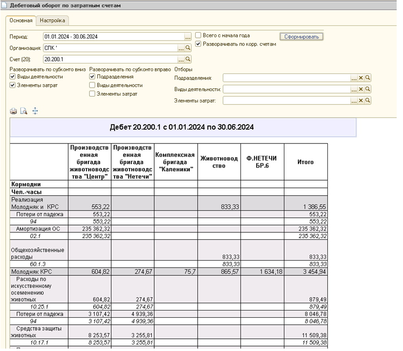 Отчет_"Дебетовый оборот_по_затратным_счетам"